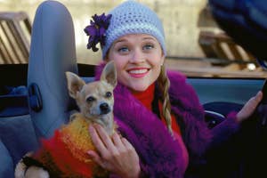 Elle Woods in a convertible with her dog, Bruiser, wearing a knitted hat and pink outfit