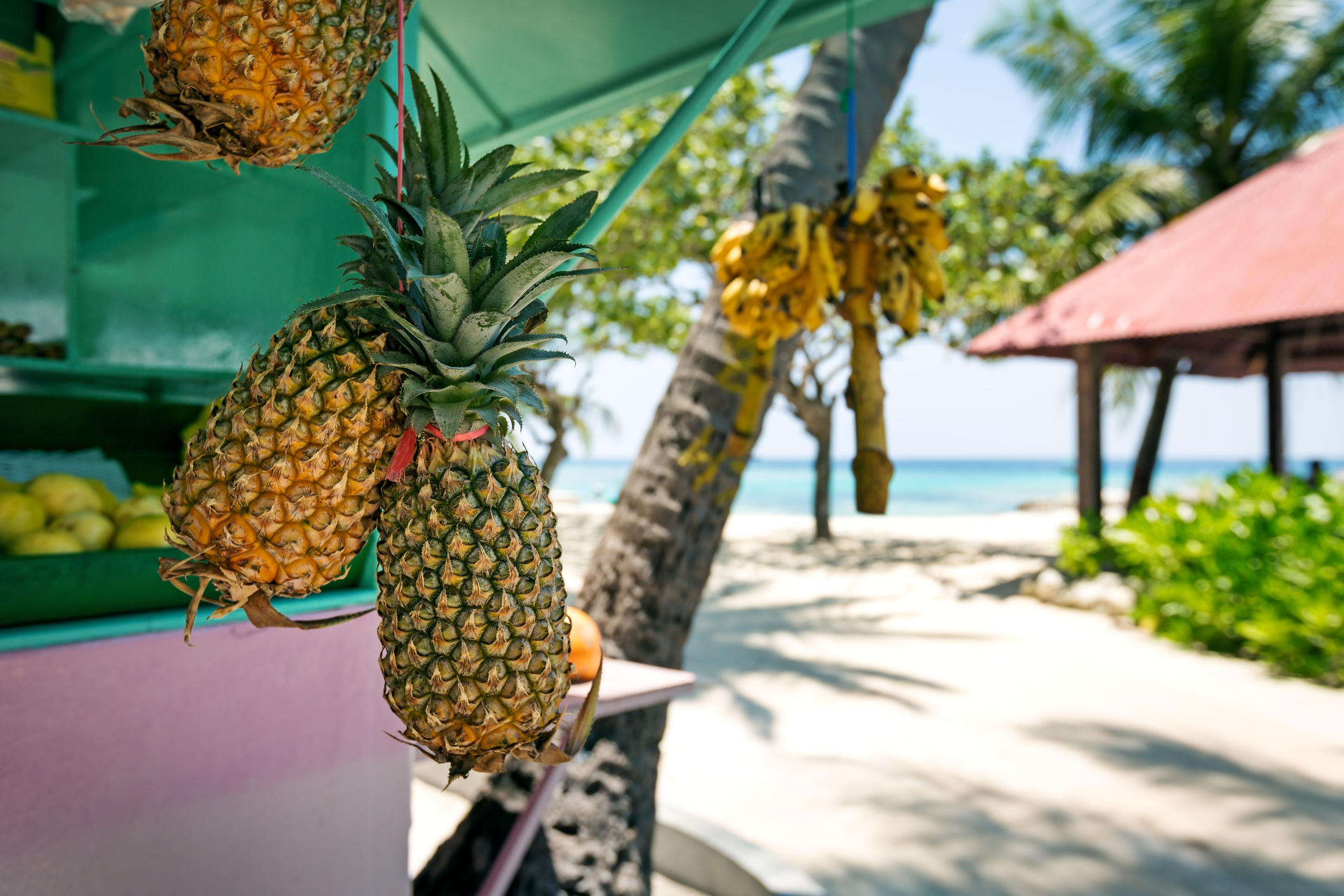 Tropical fruit stand with pineapples and bananas, beach and palm trees in the background
