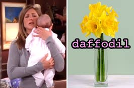 On the left, Rachel from Friends holding a baby, and on the right, daffodils in a vase