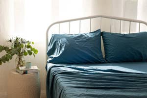 Bed with blue bedding and a bedside table with a plant and books