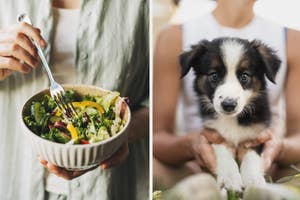 Left: Person holding bowl of salad with fork. Right: Puppy held in person's hands facing camera