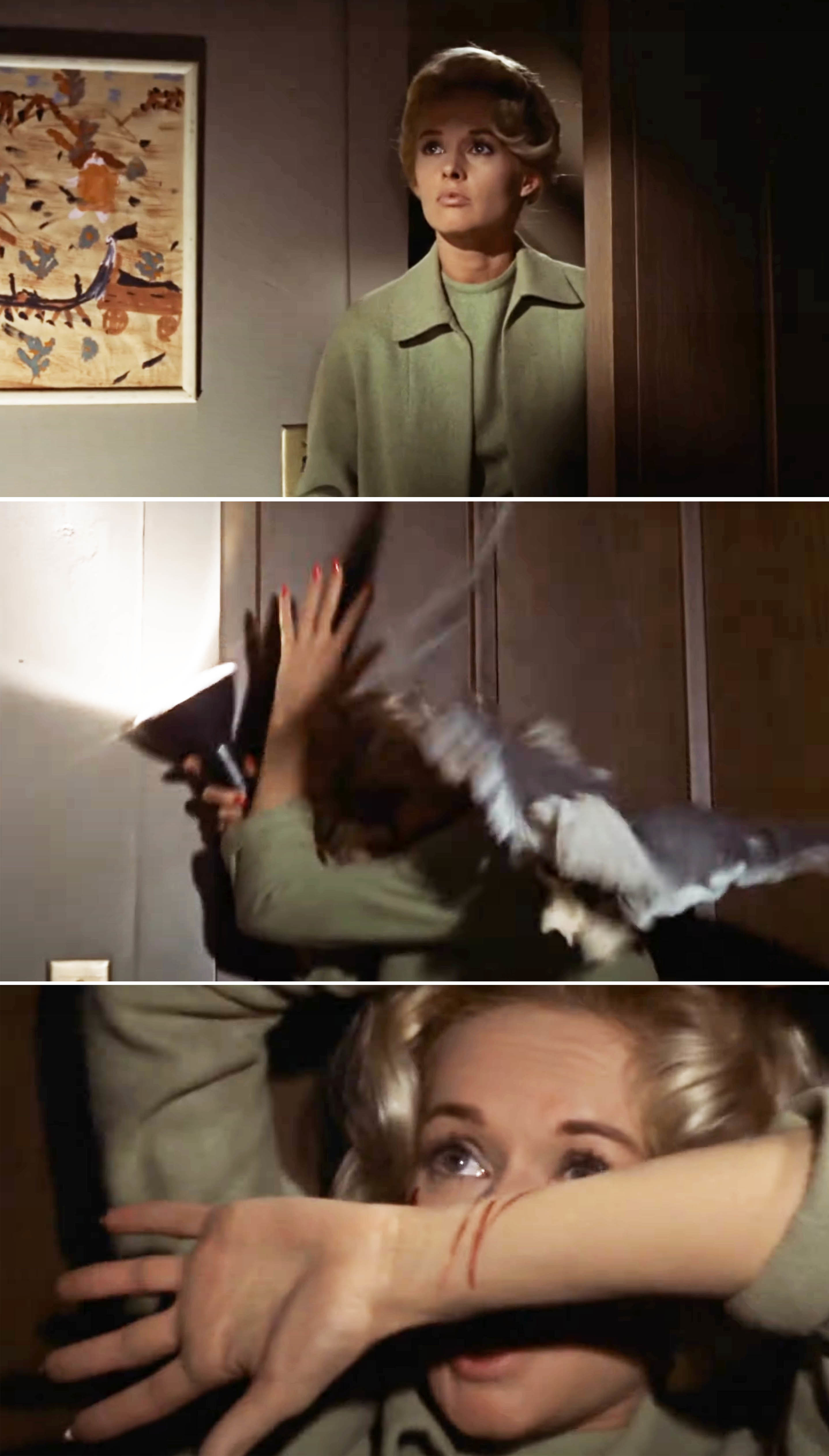 Three-panel collage from &quot;The Birds&quot; featuring Tippi Hedren in suspenseful scenes with attacking birds