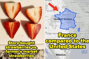 Two halves of a strawberry compared, with text "Store bought strawberries vs. farmer's market strawberries" and a map comparing France to US states