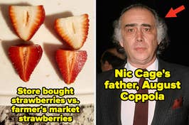 Split image: Left side shows two types of strawberries, labeled store bought and farmer's market. Right side features August Coppola