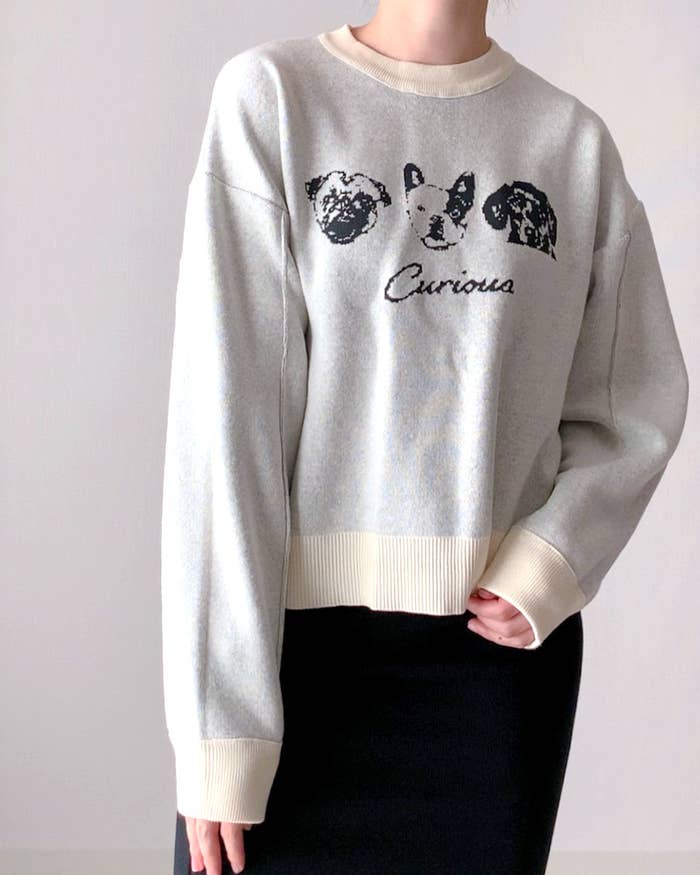 Person in a sweater with a graphic of two dogs and the word "Curious"
