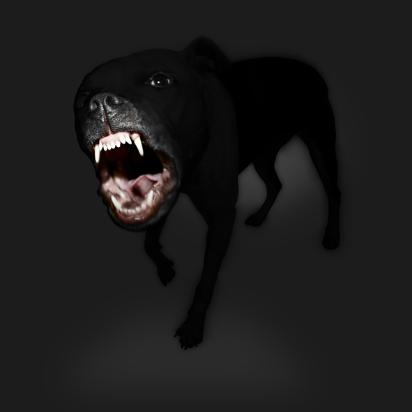 Dog with an aggressive stance, baring teeth, against a dark background