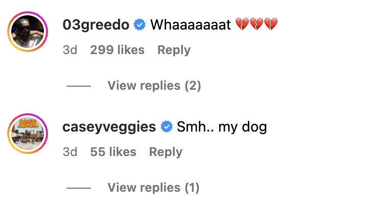 Screen capture of social media comments from 03greedo and caseyveggies responding to a post, expressing surprise and a casual remark respectively