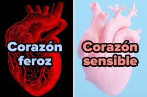 Ilustración de dos corazones estilizados con los textos "Corazón feroz" y "Corazón sensible"