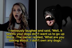 Split image: left shows a surprised woman in a scene; right has an angry black dog. Text overlay tells a humorous story