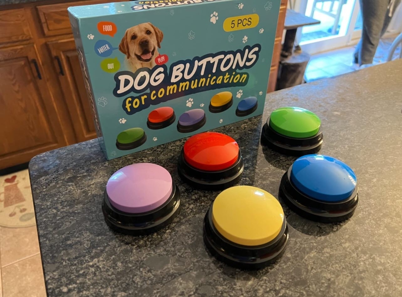 A set of five assorted dog communication buttons displayed on a counter