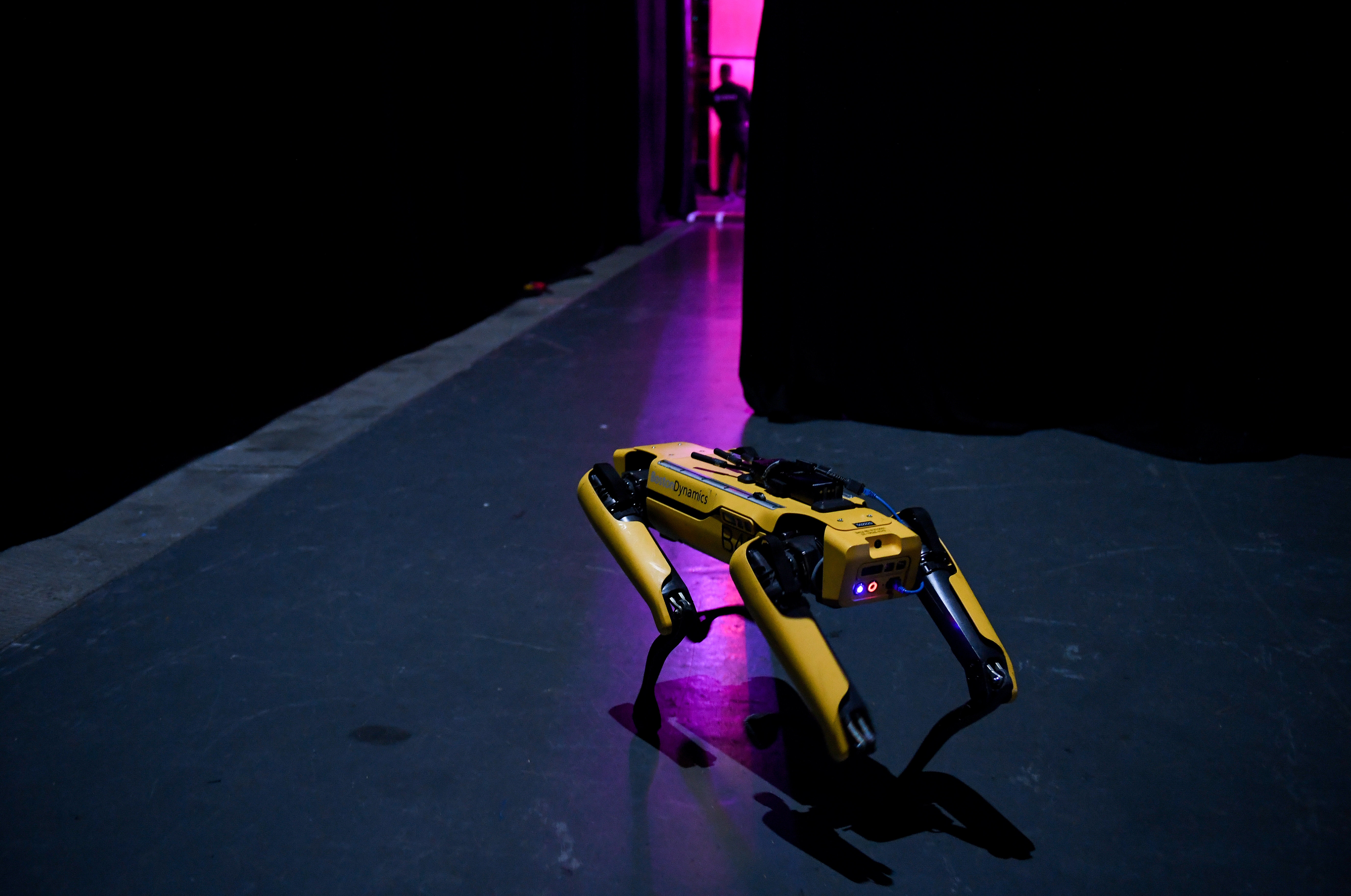 ボストン・ダイナミクス社のロボット「ビッグドッグ」（Getty Images）