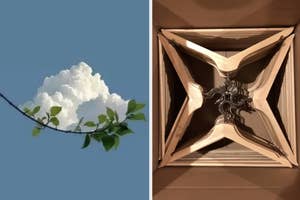 Split image; left shows a cloud resembling a flower, right depicts a metallic star sculpture on a building