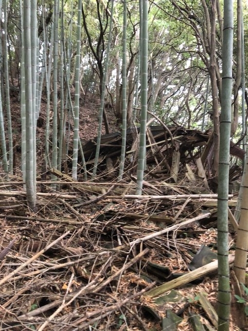 倒壊した「別宅」が竹に覆われている様子（me_young_sitterさんのXより）