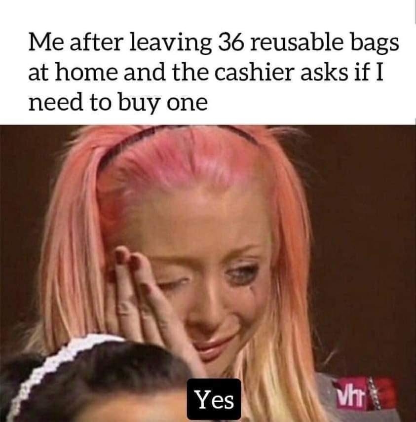 Meme featuring a woman with hand on face, captioned about forgetting reusable bags and agreeing to buy one