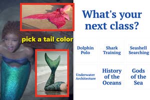 Promotional image for mermaid-themed classes, featuring a choice of tail styles and class options like 'Shark Training'