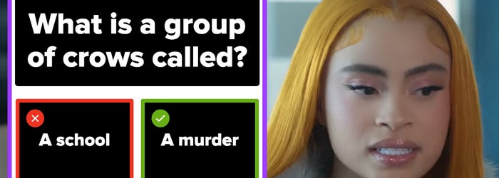 Ice Spice looking down, slightly confused, next to a screenshot of the question what is a group of crows called with a school incorrectly selected as the answer