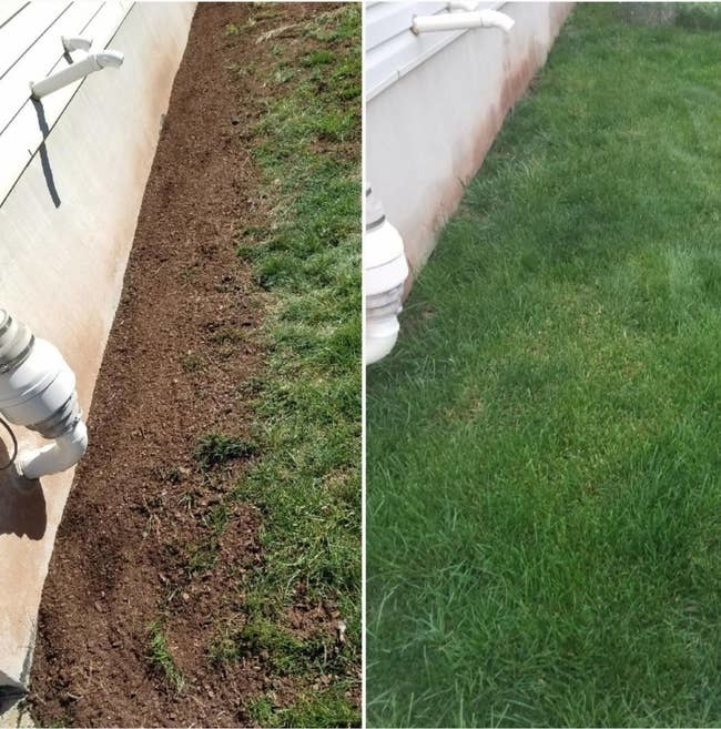 Before and after view of a lawn, left side shows cleared soil for planting, right side shows fully grown grass