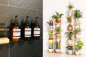 Bathroom shelf with labeled toiletries; indoor plant shelving unit with various potted plants