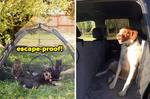 Two images: Left shows a pet enclosure with cats and a dog relaxing outside. Right has a dog seated in a car's back with a protective cover