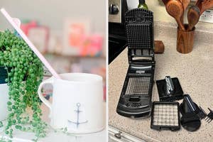A mug with anchor design next to a plant, and a disassembled food chopper on a kitchen counter