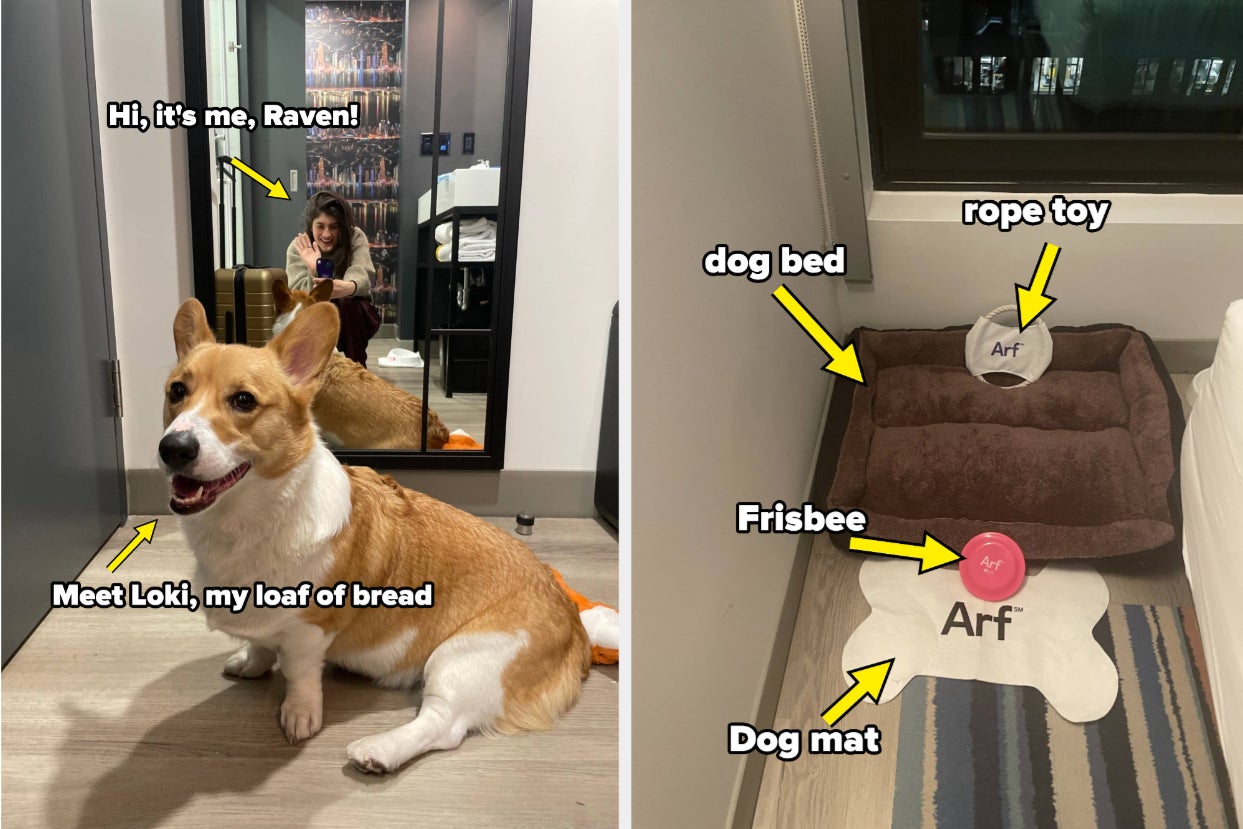 Finding A "Within My Budget" Hotel That Accepts Pets Is A Pain — So I Tried Out This "Pet-Friendly" Hotel To See If It's Worth The Money