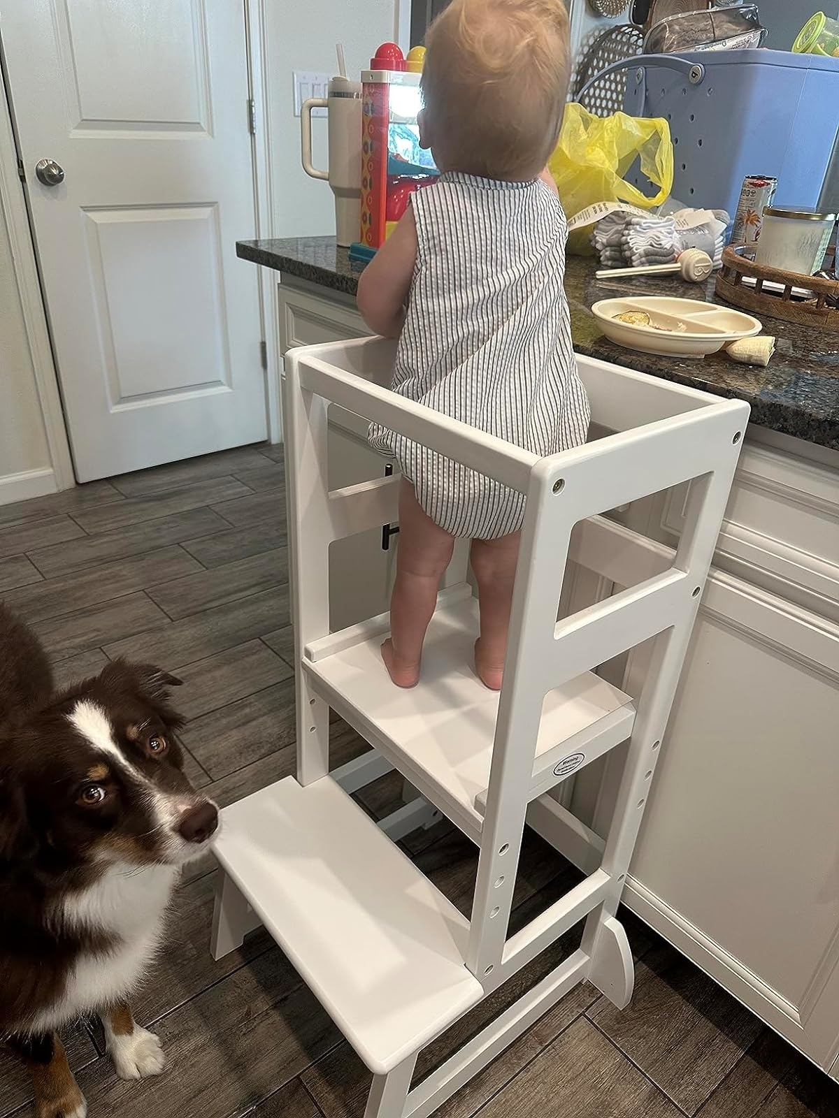 Toddler stands in a white learning tower looking at the kitchen counter; a dog sits beside it, looking at the camera