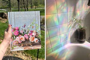 reviewer holding floral arrangements coffee table book and rainbow prism light on wall