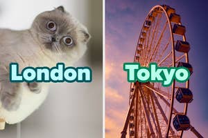 On the left, a cat with wide eyes peaking from behind a wall labeled London, and on the right, a Ferris wheel at night labeled Tokyo
