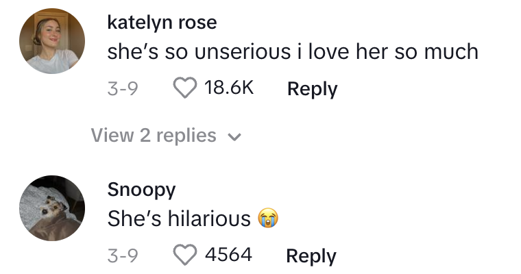 Comment section from a social media post with users expressing admiration for someone&#x27;s humor