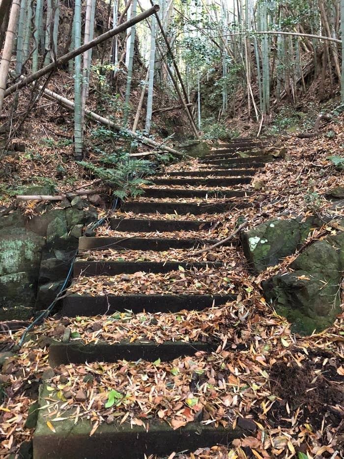 「山奥の別宅」の近くに通じる階段（me_young_sitterさんのXより）