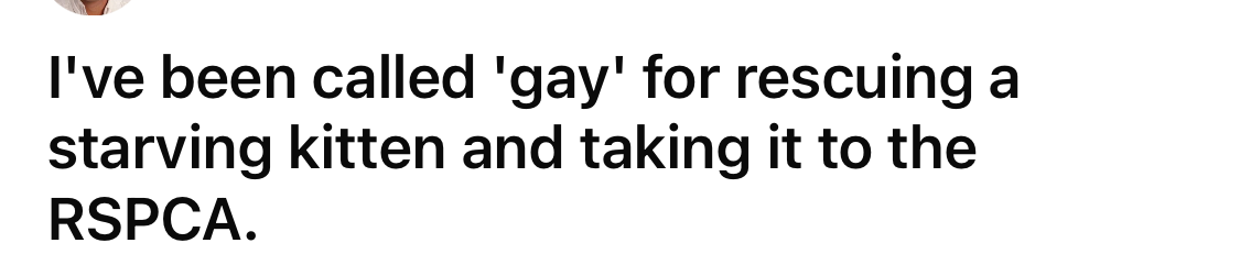 "I've been called 'gay' for rescuing a starving kitten and taking it to the RSPCA"