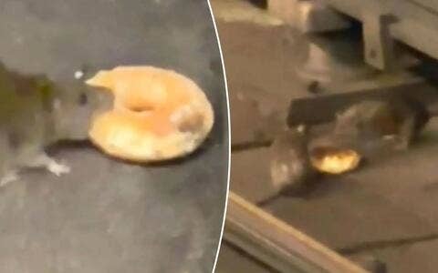 Two screencaptures side by side, the left one shows a rat dragging a donut in its mouth, and and the right one shows two rats sitting underneath a subway rail sharing the same donut.