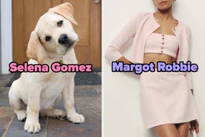 On the left, a puppy tilting its head to the side labeled Selena Gomez, and on the right, someone wearing a mini skirt, crop top, and matching cardigan labeled Margot Robbie