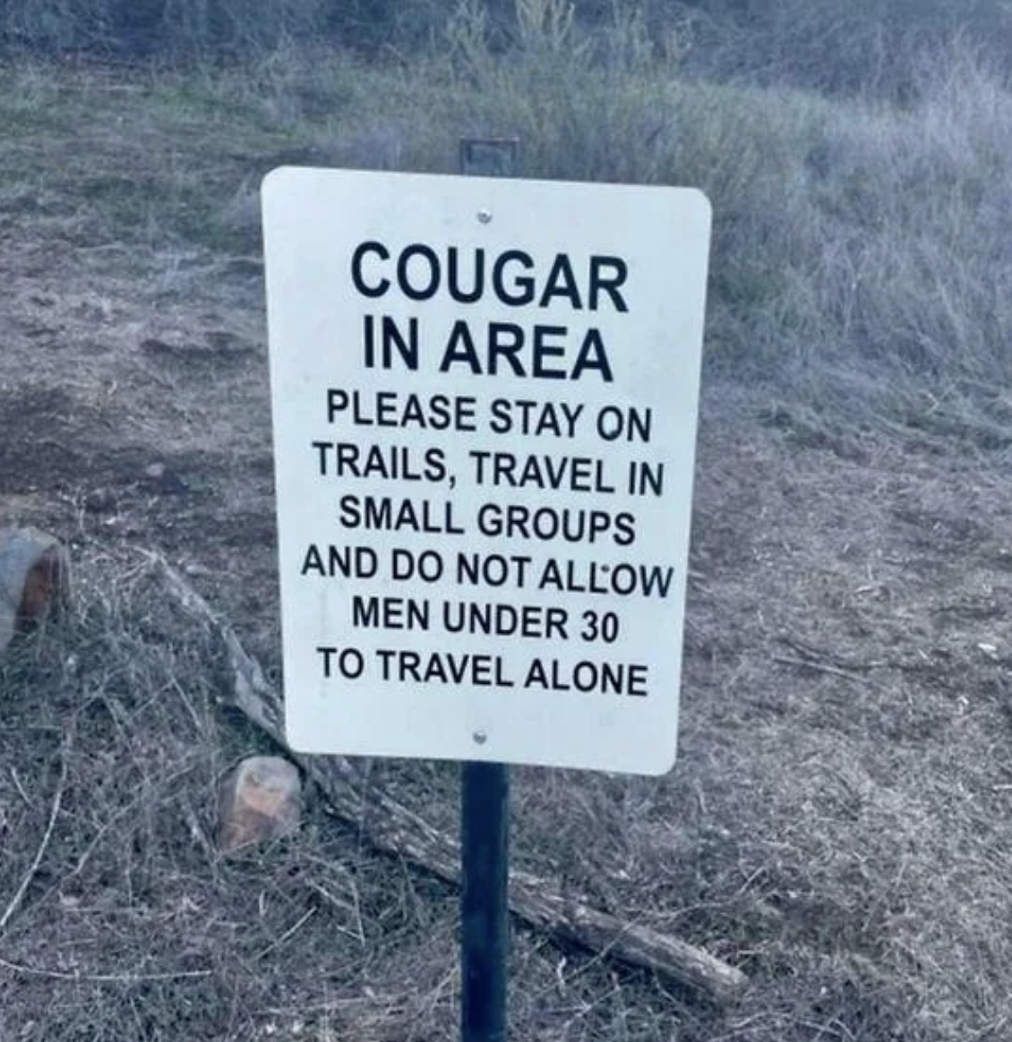 Sign warning of a cougar in the area, advising to stay on trails and not let men under 30 travel alone