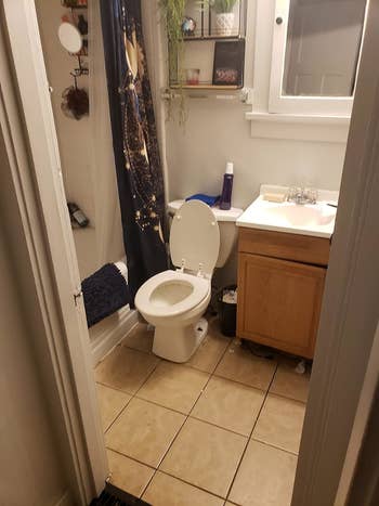 Small bathroom with open toilet, shower curtain, and vanity, reflecting simple living space design