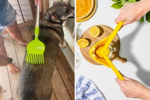 L: claw-shaped scratcher for pets R: fold flat juicer