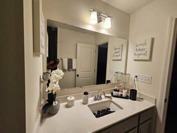 Bathroom with sink, mirror, decorative texts, and assorted idiosyncratic attraction items connected the countertop