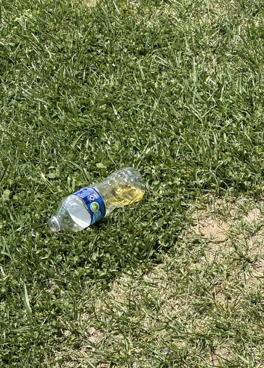 Discarded plastic bottle with a yellowish liquid inside lying on grass