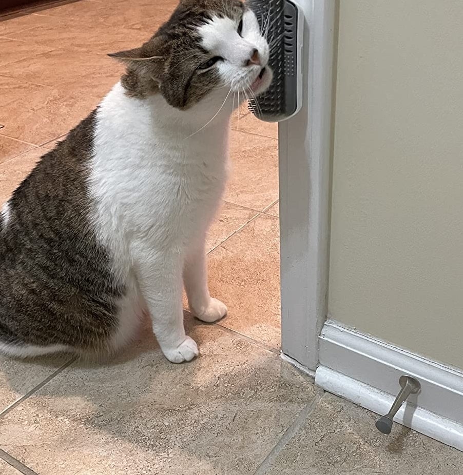 a reviewer photo of a cat rubbing its face on the wall mounted brush
