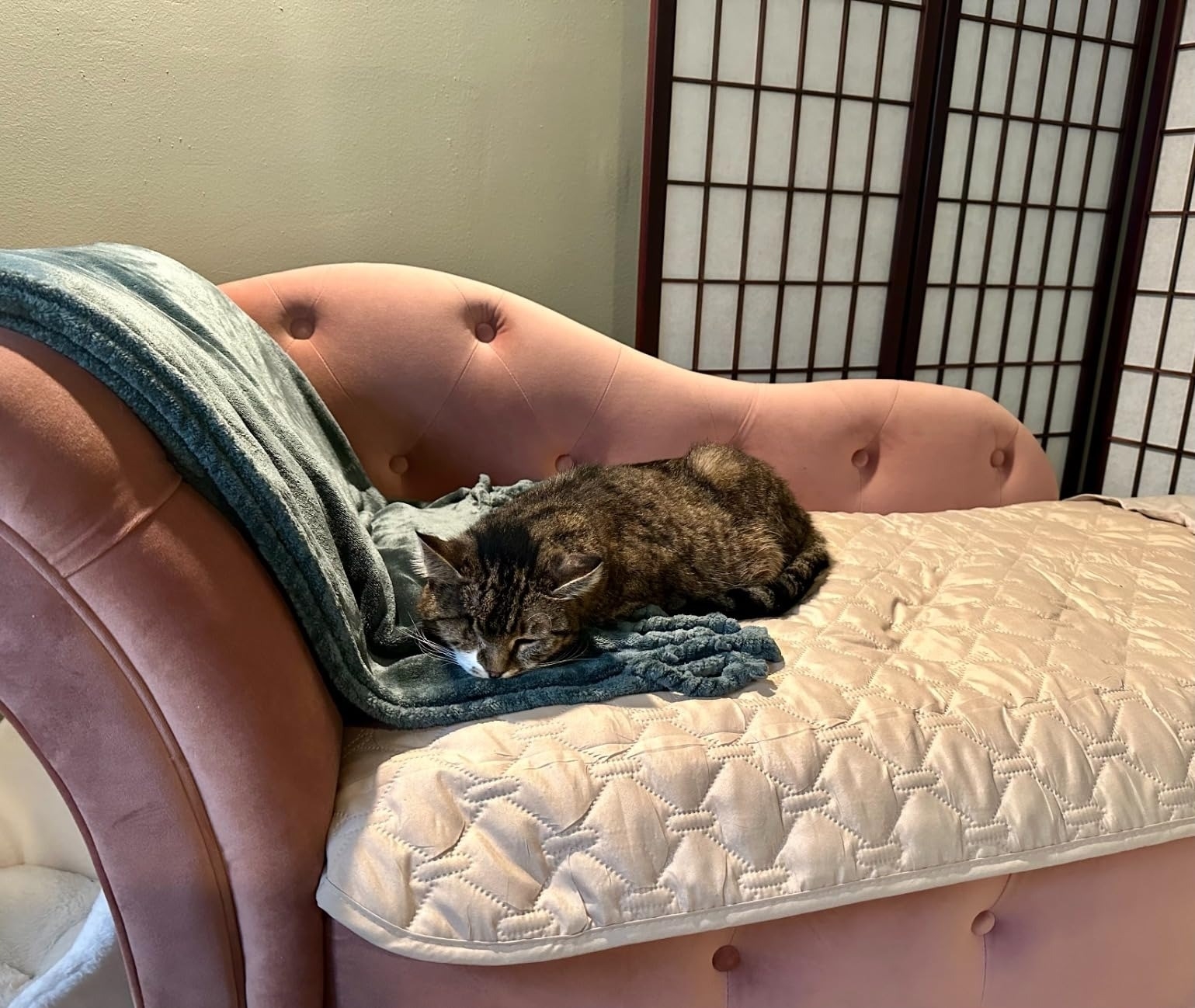 a reviewer photo of a cat resting on a pink tufted chaise lounge with a blue blanket