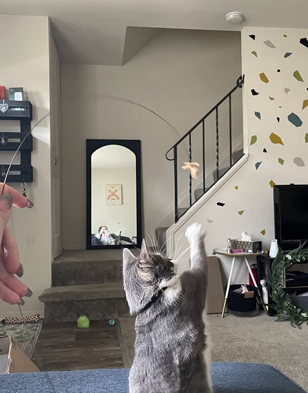 a reviewer photo of them playing with a cat using the cat dancer toy