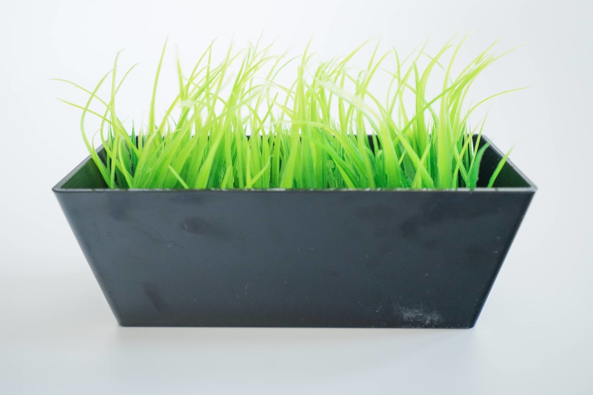 フライングタイガーのオススメおもしろグッズ「歯ブラシホルダー」