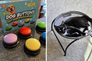 A cat lounges on a chair beside a box of dog communication buttons