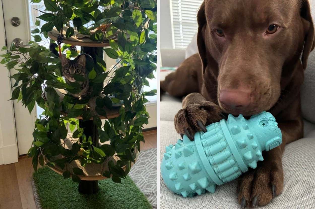 27 Pet Products From Amazon You Should ~Paws~ What You’re Doing And Check Out