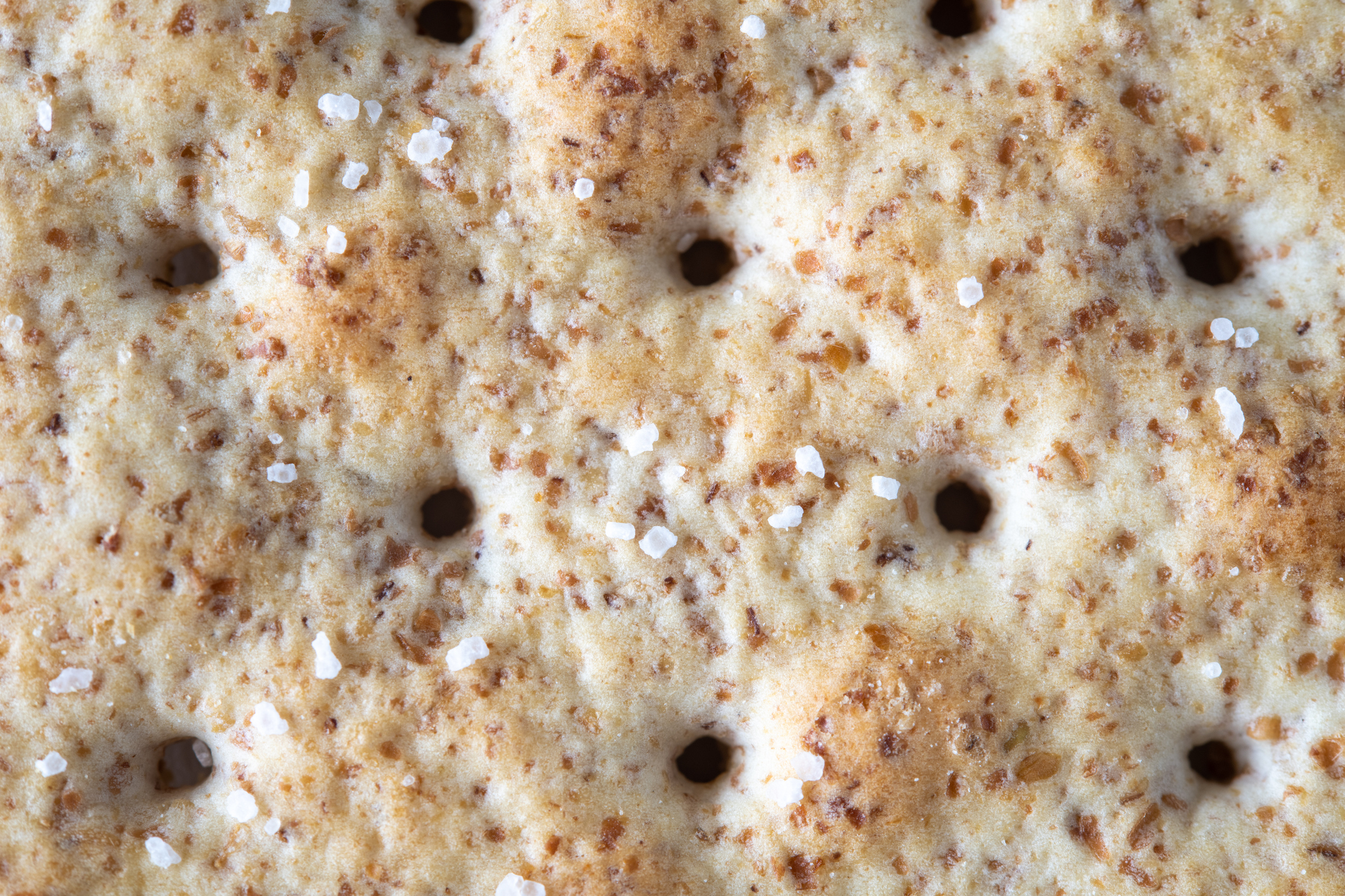 Close-up of a salted matzo cracker, commonly eaten during Passover