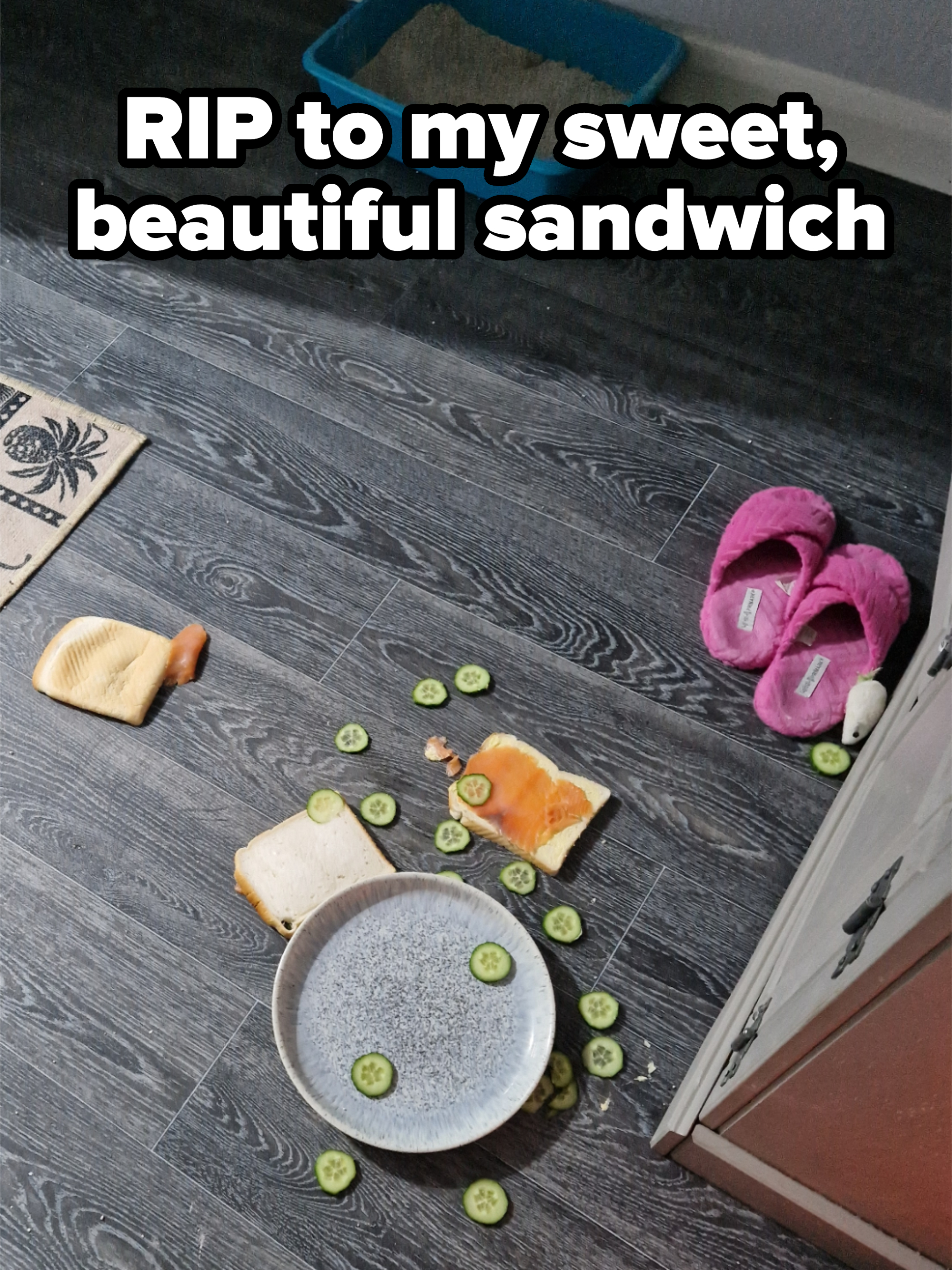 A messy floor with a fallen sandwich, scattered cucumber slices, a cat litter box, and pink slippers