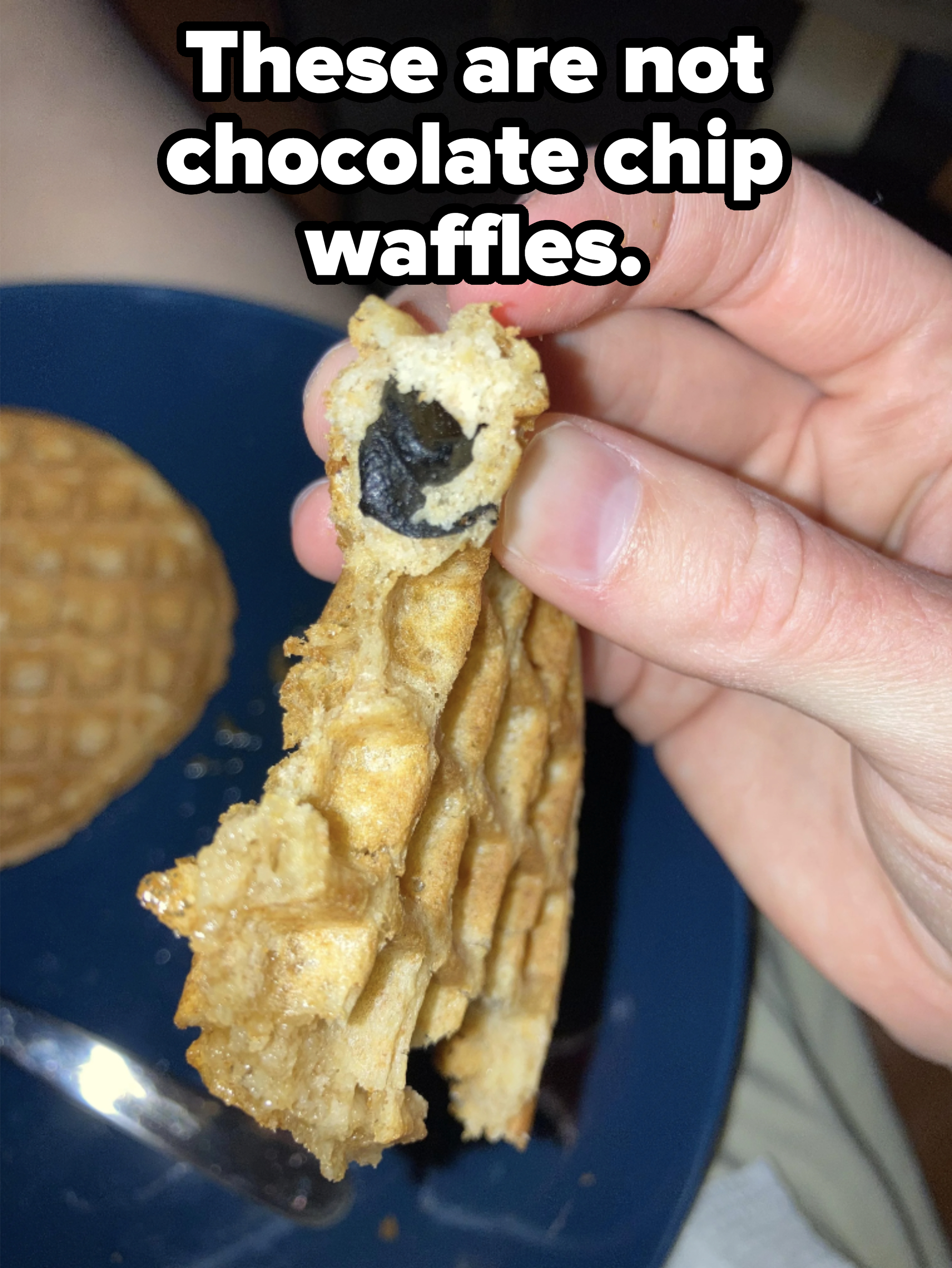 Hand holding a half-eaten waffle with a single visible chocolate chip