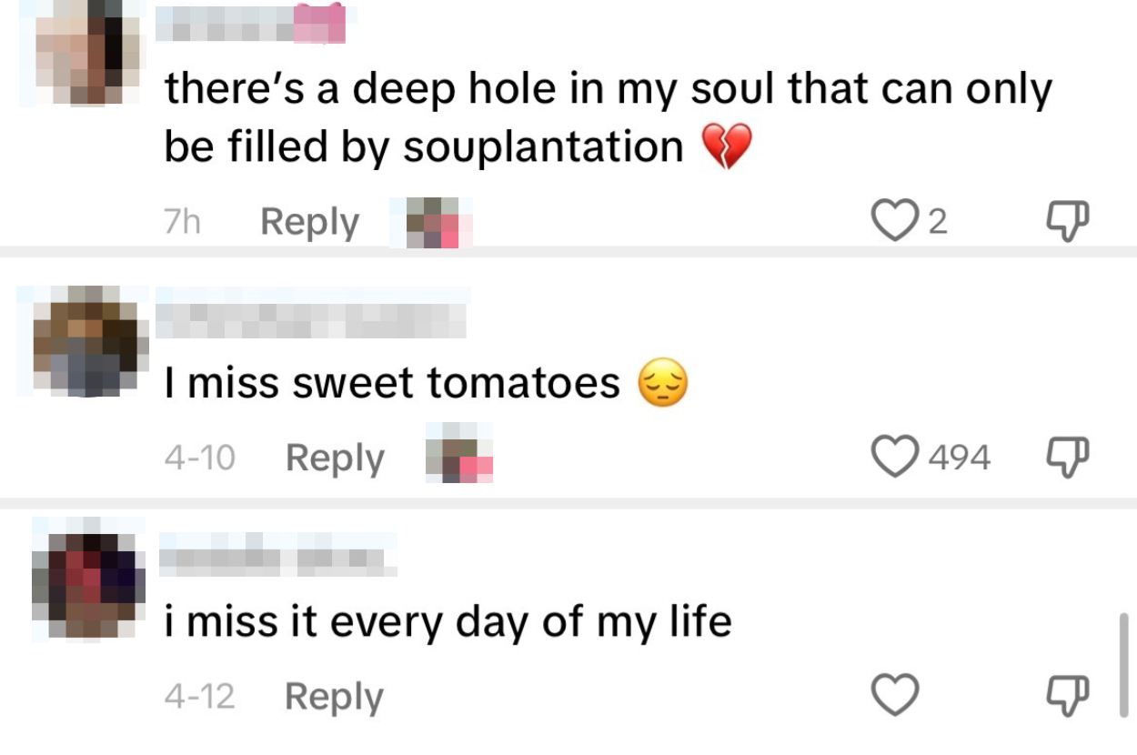 Comments expressing missing Souplantation and Sweet Tomatoes