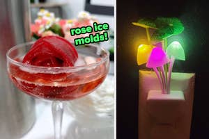 reviewer's red rose-shaped ice cube in a martini glass / BuzzFeeder's lit-up Mushroom night light