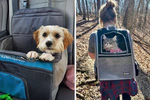 A dog in a car seat and a person carrying a cat in a backpack pet carrier outdoors; products for pet travel